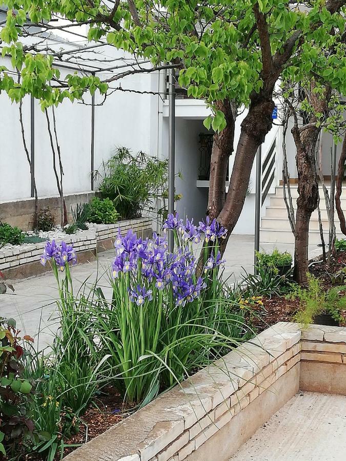 Apartman 1 Zadar Extérieur photo